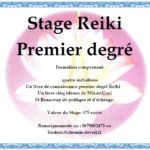 stage reiki frederic cosme morbihan
